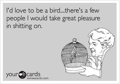 I'd love to be a bird....there's a few people I would take great pleasure in shitting on.