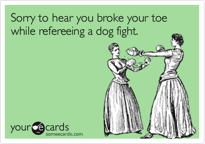 Sorry to hear you broke your toe while refereeing a dog fight.