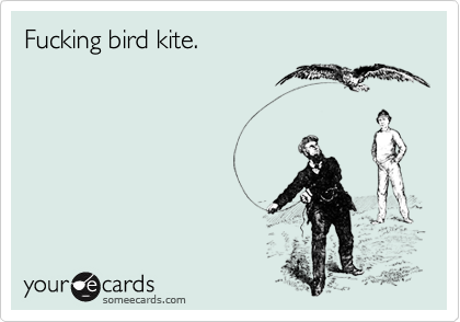 Fucking bird kite.