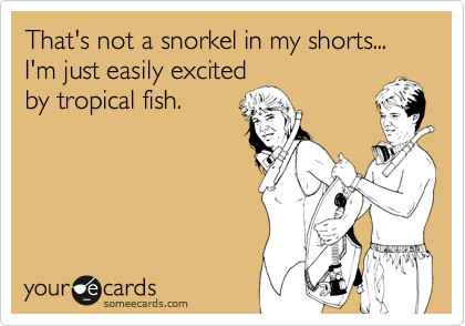 That's not a snorkel in my shorts...
I'm just easily excited
by tropical fish.