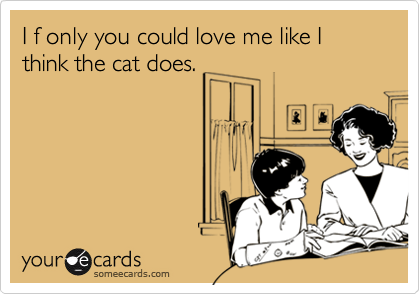 I f only you could love me like I think the cat does.