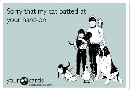 Sorry that my cat batted at
your hard-on.