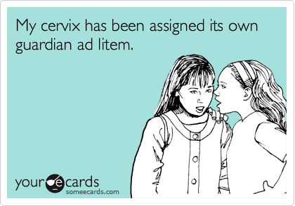 My cervix has been assigned its own guardian ad litem.