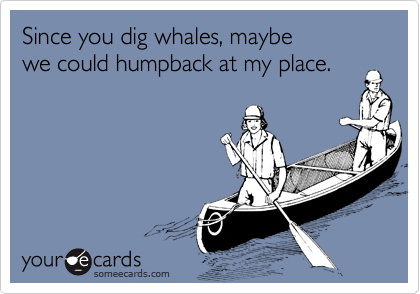 Since you dig whales, maybe  
we could humpback at my place.