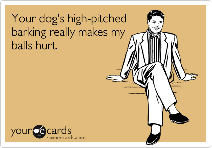 Your dog's high-pitched
barking really makes my 
balls hurt.