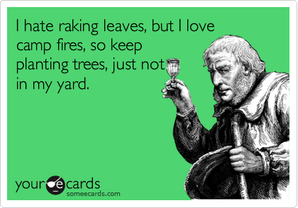 I hate raking leaves, but I love
camp fires, so keep
planting trees, just not
in my yard.
