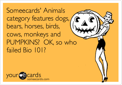 Someecards' Animals
category features dogs,
bears, horses, birds,
cows, monkeys and
PUMPKINS?  OK, so who
failed Bio 101?