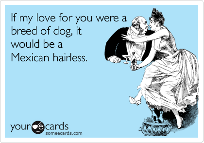 If my love for you were abreed of dog, itwould be aMexican hairless.