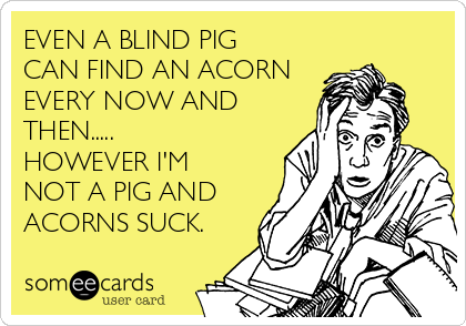 EVEN A BLIND PIG
CAN FIND AN ACORN
EVERY NOW AND
THEN.....
HOWEVER I'M
NOT A PIG AND
ACORNS SUCK.