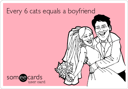 Every 6 cats equals a boyfriend
