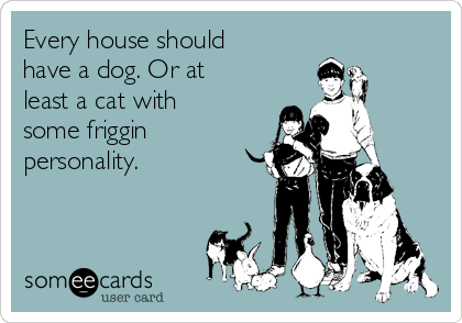 Every house should
have a dog. Or at
least a cat with
some friggin
personality.