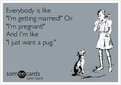 Everybody is like
"I'm getting married!" Or
"I'm pregnant!"
And I'm like 
"I just want a pug."
