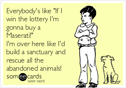 Everybody's like "If I
win the lottery I'm
gonna buy a
Maserati!"
I'm over here like I'd
build a sanctuary and
rescue all the
abandoned animals!