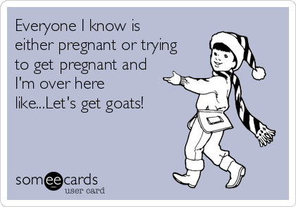Everyone I know is
either pregnant or trying
to get pregnant and
I'm over here
like...Let's get goats!