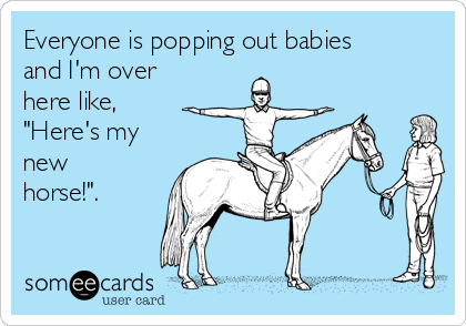 Everyone is popping out babies
and I'm over
here like,
"Here's my
new
horse!".