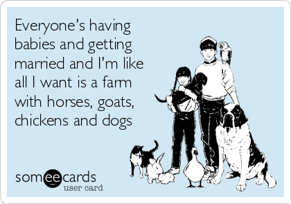 Everyone's having
babies and getting
married and I'm like
all I want is a farm
with horses, goats,
chickens and dogs