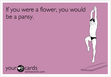 If you were a flower, you would
be a pansy.