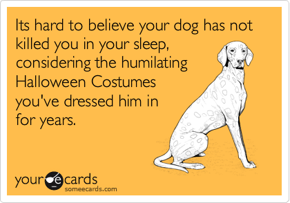 Its hard to believe your dog has not killed you in your sleep,
considering the humilating
Halloween Costumes
you've dressed him in
for years.