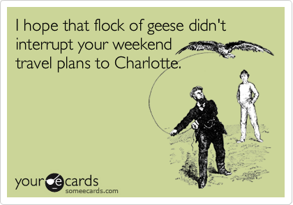 I hope that flock of geese didn't interrupt your weekend travel plans to Charlotte.