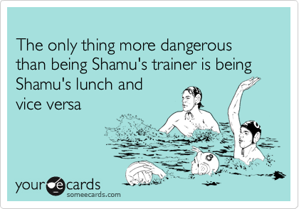
The only thing more dangerous than being Shamu's trainer is being Shamu's lunch and
vice versa 