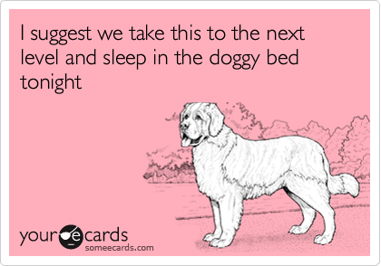 I suggest we take this to the next level and sleep in the doggy bed tonight