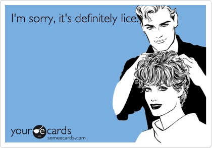 I'm sorry, it's definitely lice.

