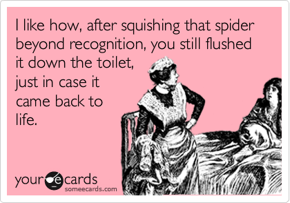 I like how, after squishing that spider beyond recognition, you still flushed it down the toilet,
just in case it 
came back to
life.