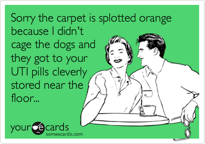 Sorry the carpet is splotted orange because I didn'tcage the dogs andthey got to yourUTI pills cleverlystored near thefloor...