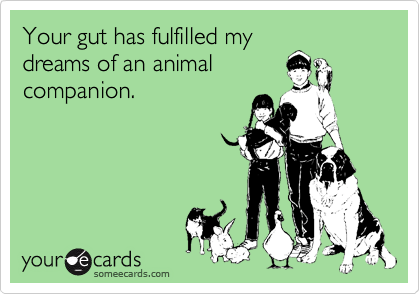 Your gut has fulfilled my
dreams of an animal
companion. 
