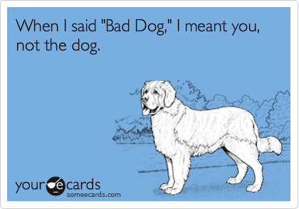 When I said "Bad Dog," I meant you, not the dog.
