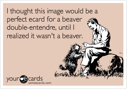 I thought this image would be a perfect ecard for a beaver
double-entendre, until I
realized it wasn't a beaver.