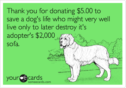 Thank you for donating $5.00 to save a dog's life who might very well live only to later destroy it's adopter's $2,000
sofa.