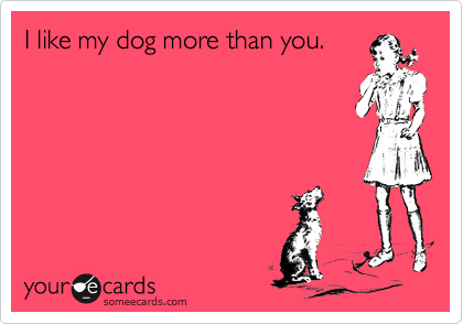 i love my dog more than you