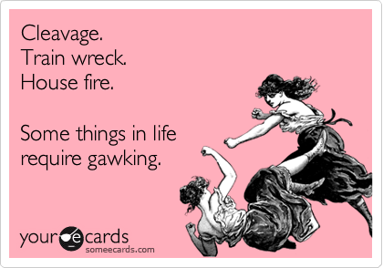 Cleavage. 
Train wreck. 
House fire.

Some things in life
require gawking.
