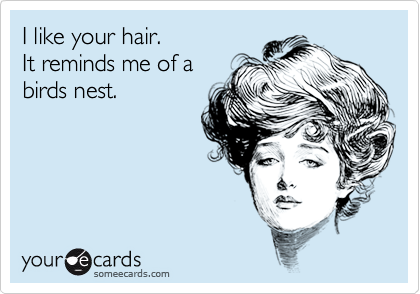 I like your hair.
It reminds me of a
birds nest.
