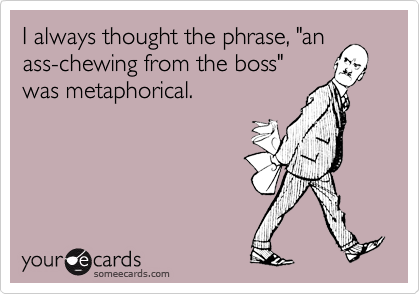I always thought the phrase, "anass-chewing from the boss"was metaphorical.