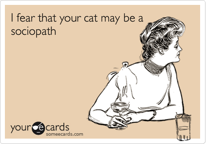I fear that your cat may be asociopath