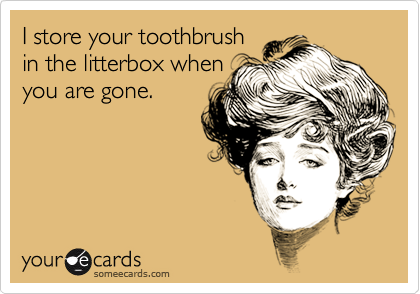 I store your toothbrush
in the litterbox when
you are gone.