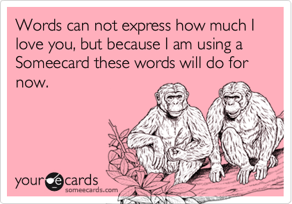 Words can not express how much I love you, but because I am using a Someecard these words will do for now.