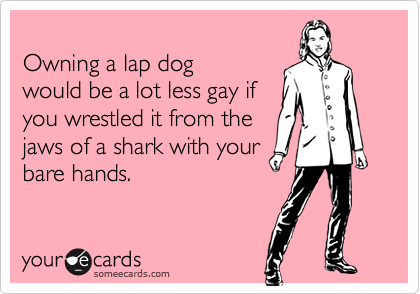 Owning a lap dogwould be a lot less gay ifyou wrestled it from thejaws of a shark with yourbare hands.