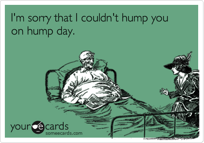 I'm sorry that I couldn't hump you on hump day.