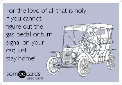 For the love of all that is holy-
if you cannot
figure out the
gas pedal or turn
signal on your
car; just
stay home!