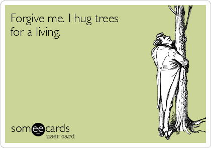 Forgive me. I hug trees
for a living.
