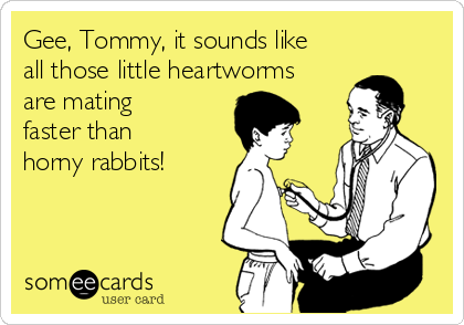 Gee, Tommy, it sounds like
all those little heartworms
are mating
faster than
horny rabbits!
