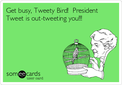 Get busy, Tweety Bird!  President
Tweet is out-tweeting you!!!