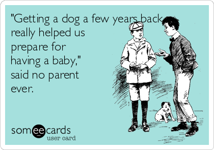 "Getting a dog a few years back
really helped us
prepare for
having a baby,"
said no parent
ever.