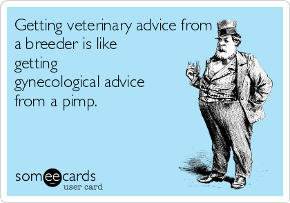 Getting veterinary advice from 
a breeder is like
getting
gynecological advice
from a pimp. 