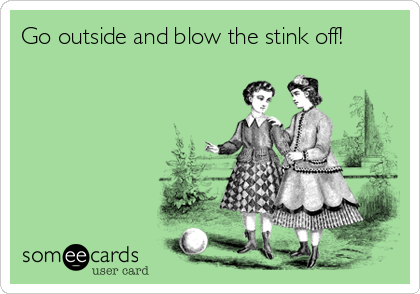Go outside and blow the stink off!