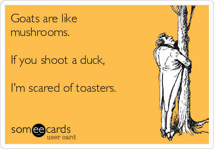 Goats are like
mushrooms.

If you shoot a duck,

I'm scared of toasters.