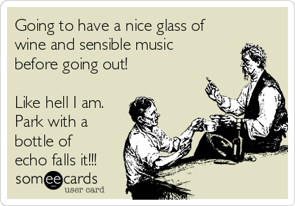 Going to have a nice glass of
wine and sensible music
before going out!

Like hell I am.
Park with a
bottle of
echo falls it!!!